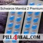 Black Mamba 2 Premium 23